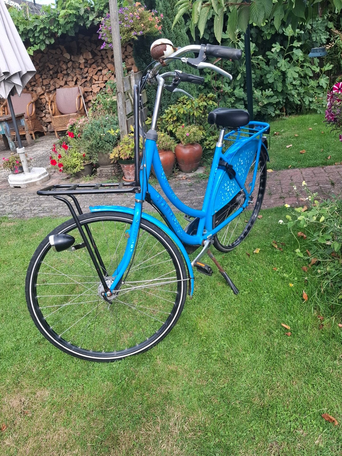 Sparta Granny, Sparta, 53 tot 56 cm, Versnellingen, Ophalen of Verzenden