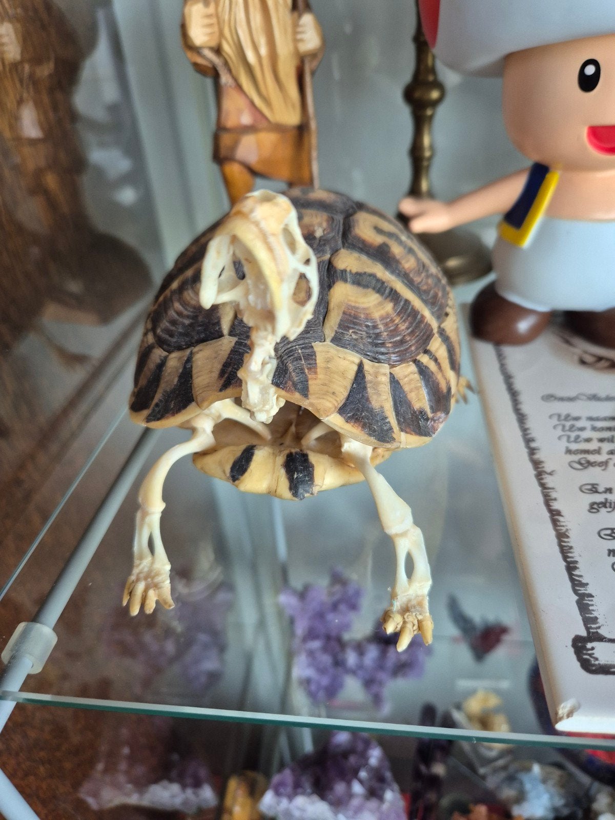 schildpad, Ophalen, Zo goed als nieuw, Figuurtje