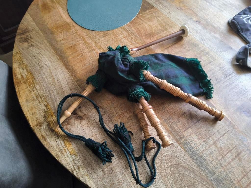 Leuke kleine doedelzak, functioneert, Muziek en Instrumenten, Ophalen