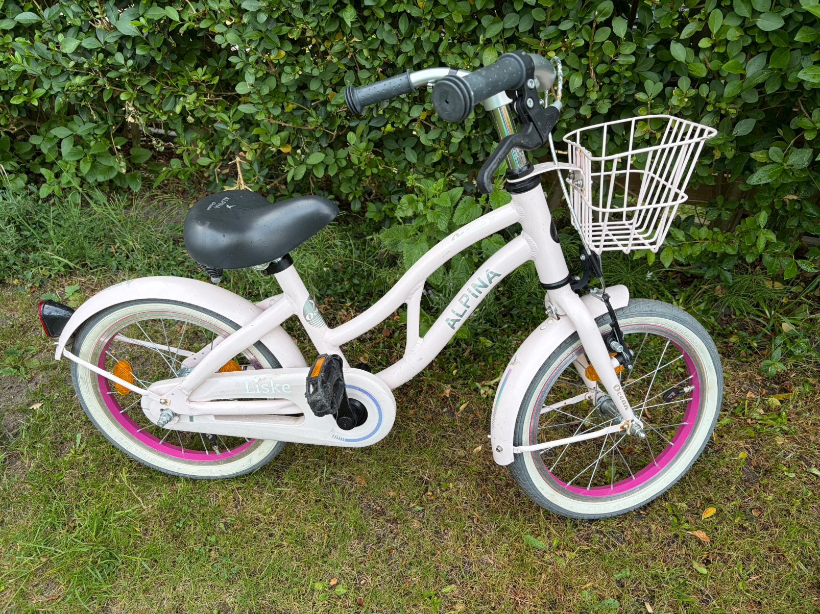 Alpina ocean rose (roze), Ophalen, Zo goed als nieuw, 16 inch