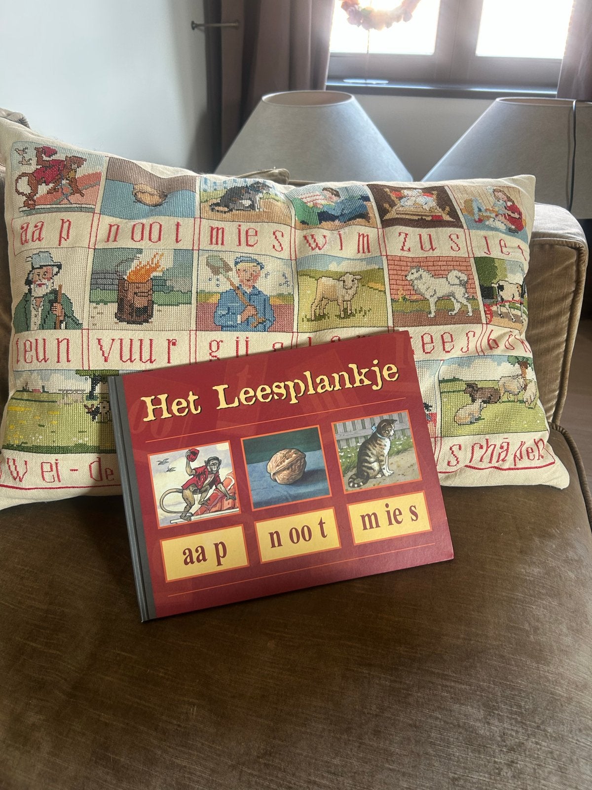 Het Leesplankje boek met bijpassend kussen, Boeken, Ophalen, Zo goed als nieuw, Non-fictie