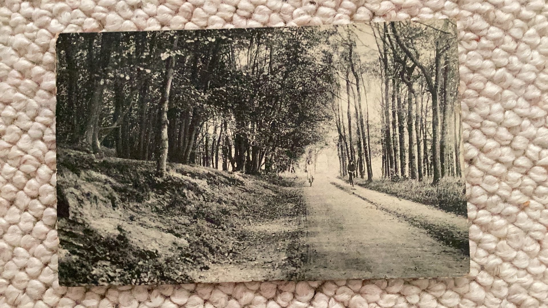 Ansichtkaart Bergen N.H. Egmonderweg bij “Franschman” 1900, Ophalen of Verzenden, Voor 1920, Gelopen, Noord-Holland