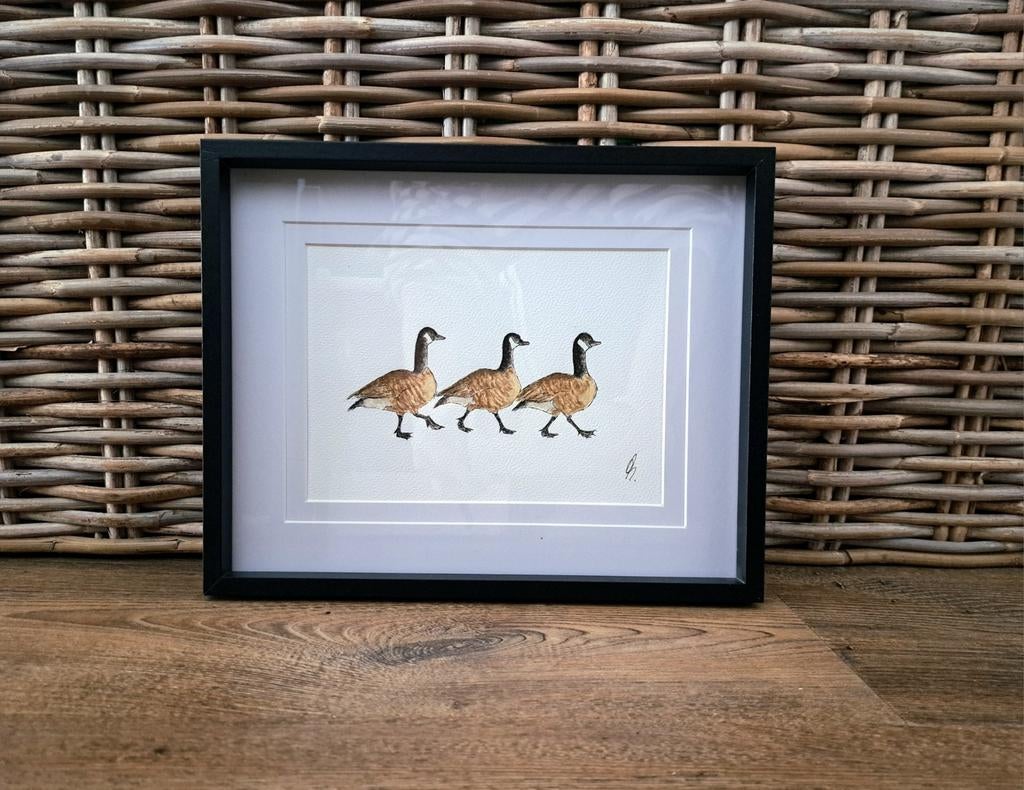Aquarel schilderij Canadese ganzen in lijst, Ophalen of Verzenden, Nieuw, Hout