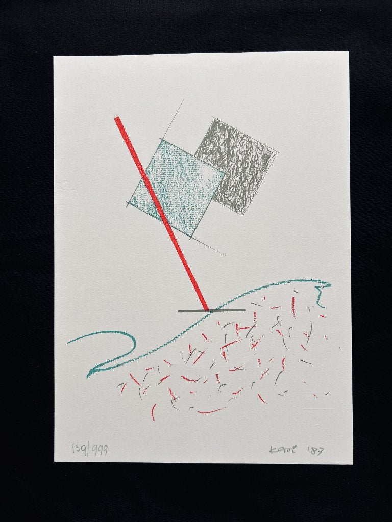 Zeefdruk Hannes Postma  ZOMEROPRUIMING, Antiek en Kunst, Kunst | Litho's en Zeefdrukken, Origineel, Ophalen of Verzenden, Zeefdruk