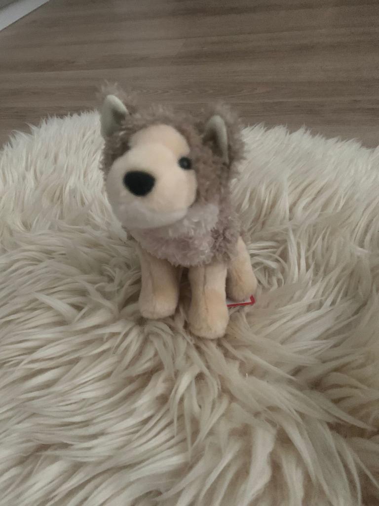 Douglas cuddle toys coyote! Essa plush met accessoires, Kinderen en Baby's, Speelgoed | Knuffels en Pluche, Overige merken, Overige karakters