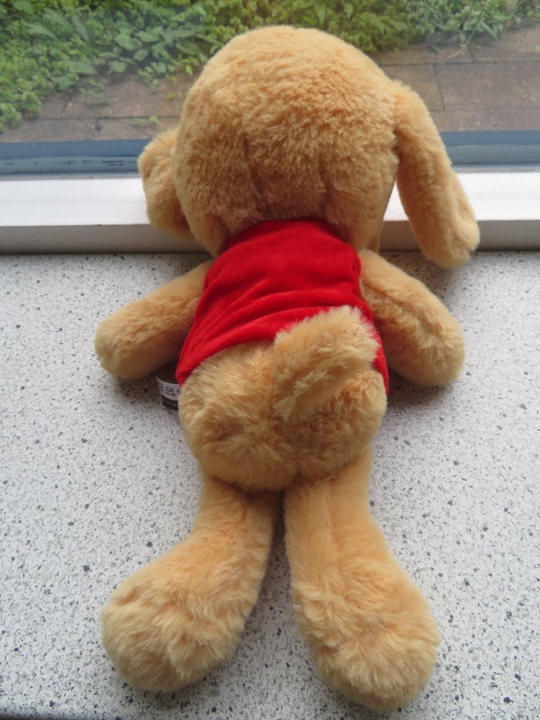 Hond BUDDY mascotte van Kinderthuiszorg Bik en Bibi, Zo goed als nieuw, Middelgroot (20 tot 80 cm), Met label, Hond