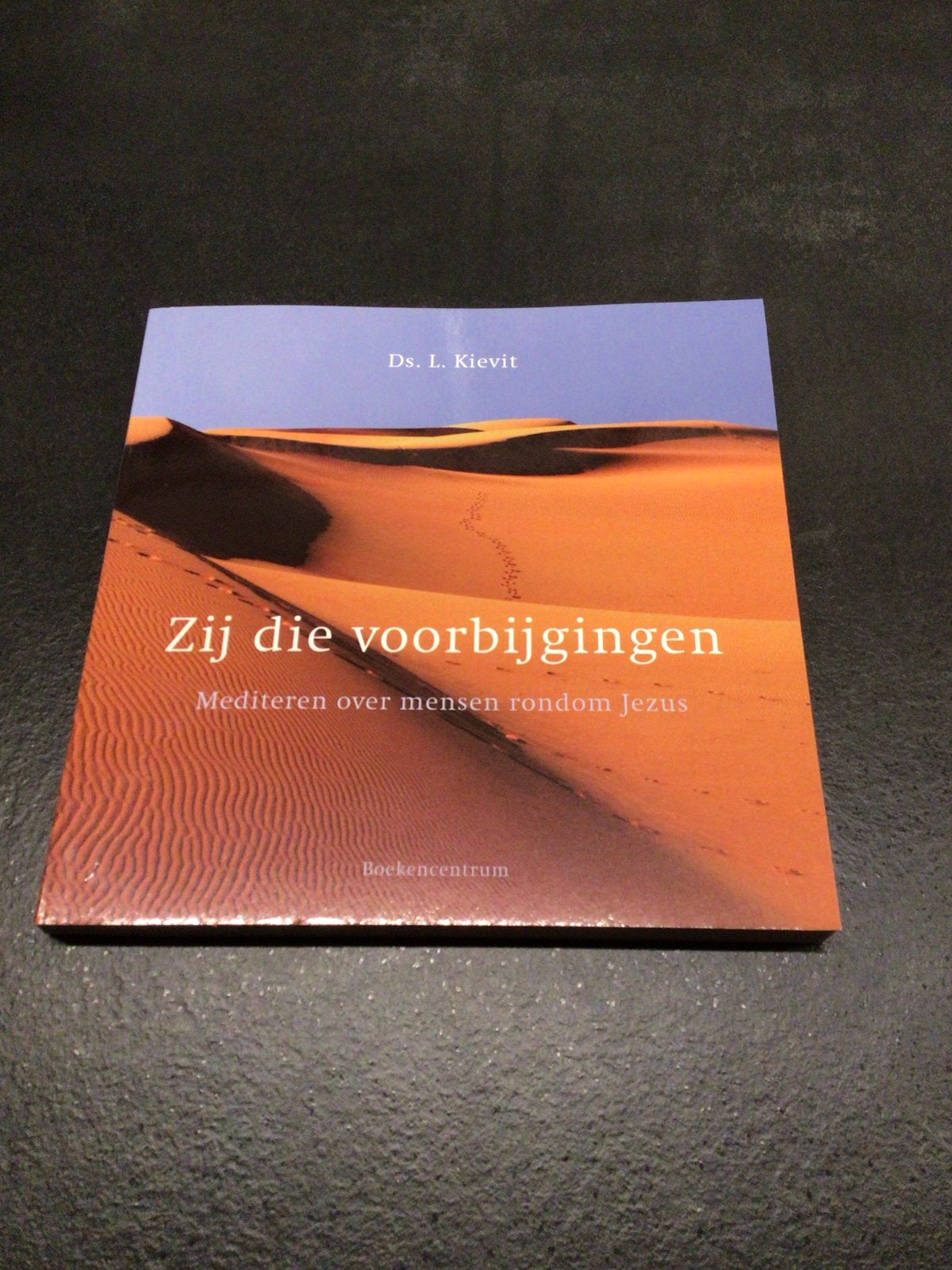 Zij die voorbijgingen - Mediteren over mensen rondom Jezus, Ophalen of Verzenden, Zo goed als nieuw, Christendom | Katholiek