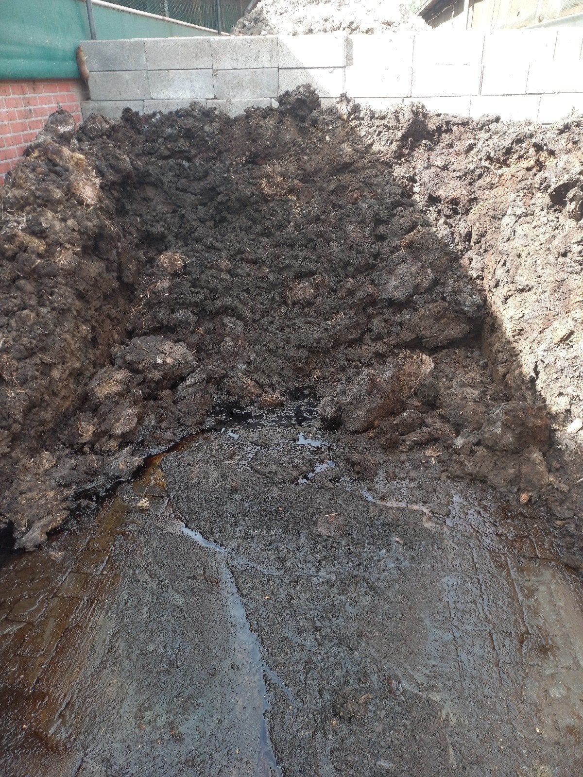koemest mest compost, Ophalen of Verzenden