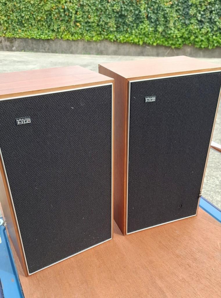 Philips SA5423/21Z Vintage Speakers – Notenfineer, Philips, Gebruikt, Ophalen of Verzenden, Minder dan 60 watt