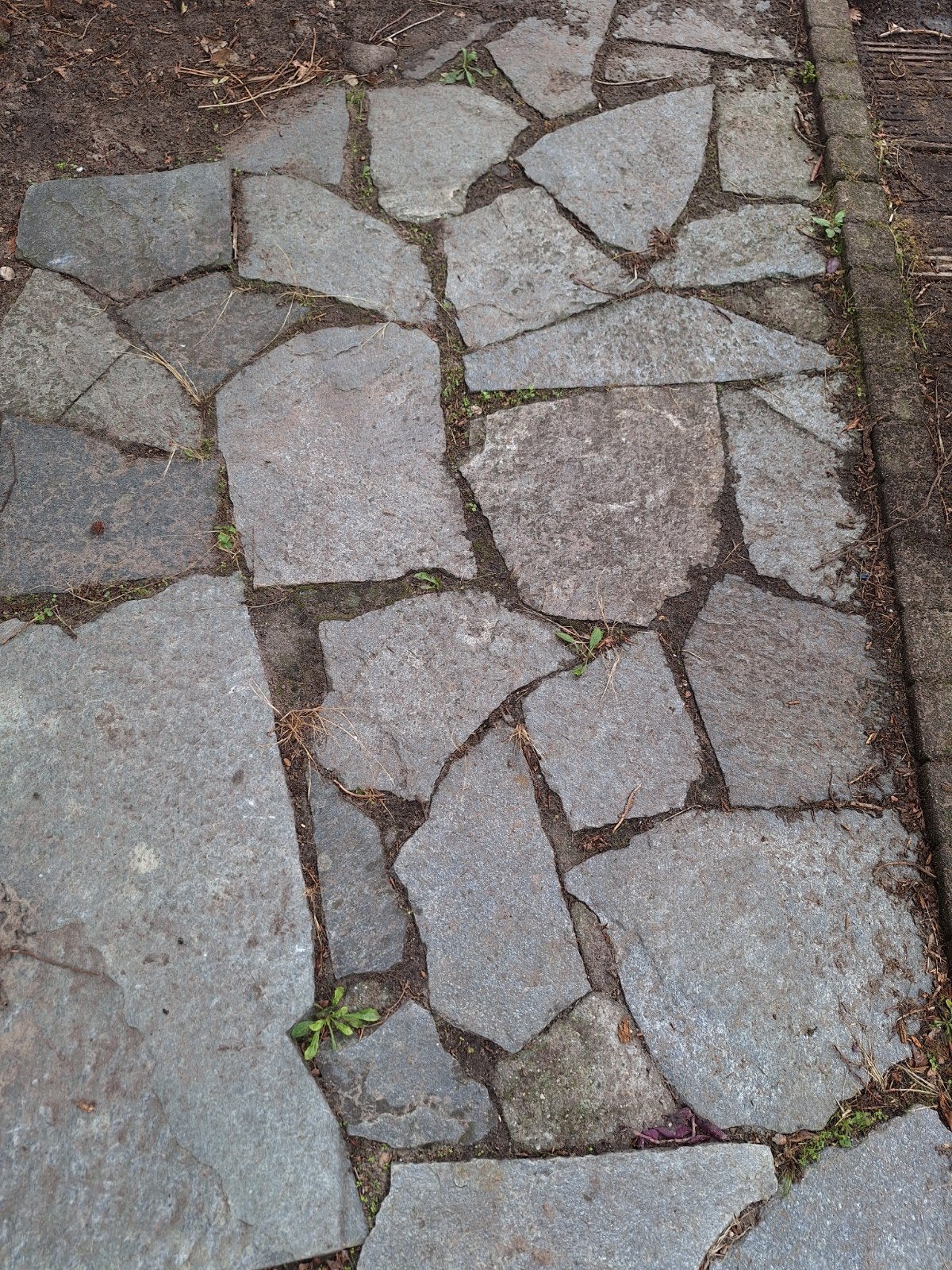 flagstones grijs gratis ophalen, Tuin en Terras, Tegels en Klinkers, Ophalen, Gebruikt, Terrastegels, Natuursteen