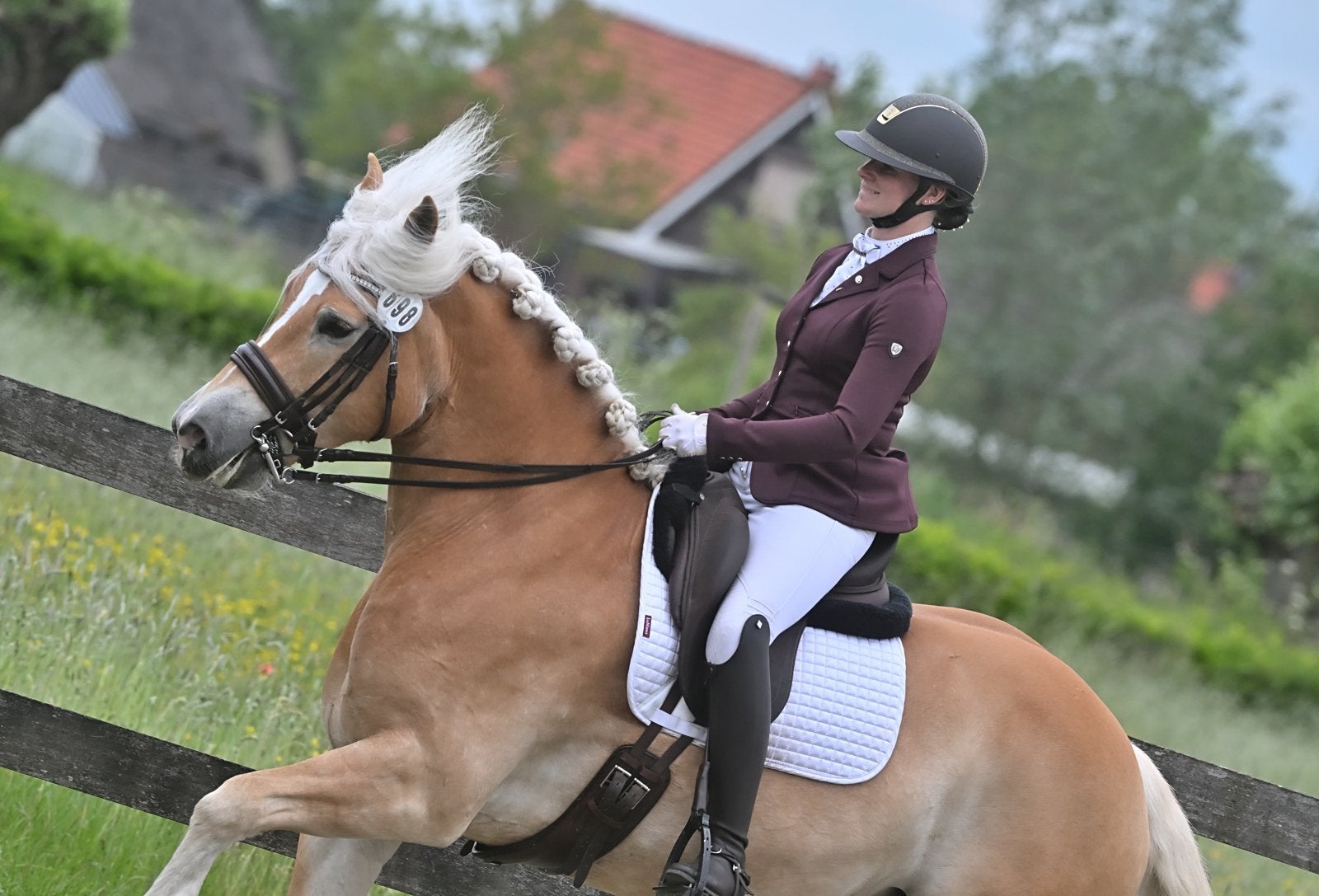 RIJLES & TRAINING PAARD EN RUITER | PAARDENTAXI SCHAIJK, Ruiter of Bijrijder