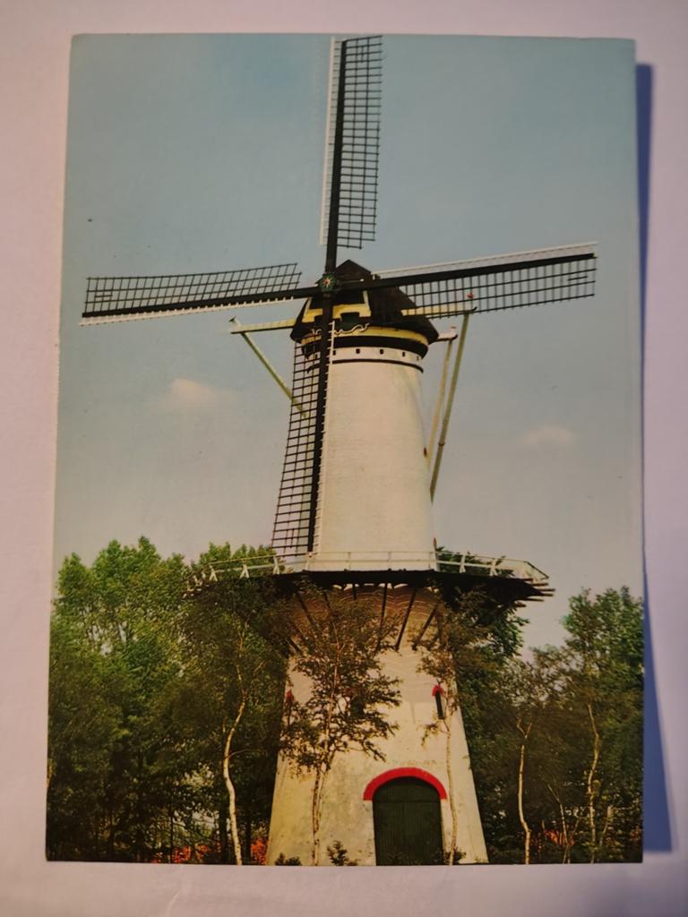 Tholen, Ophalen of Verzenden, 1940 tot 1960, Gelderland