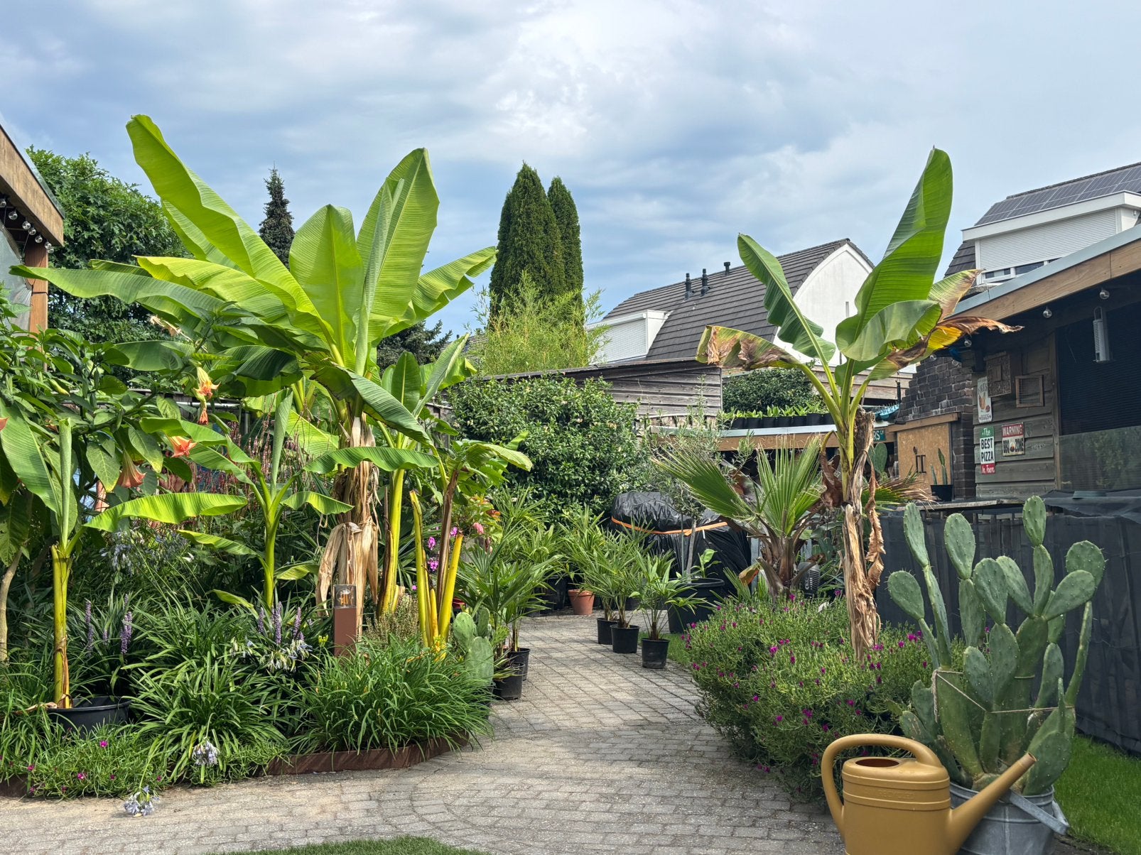 Diverse tuinplaten exoten, Tuin en Terras, Planten | Tuinplanten, Ophalen, Eenjarig, Overige soorten, Volle zon