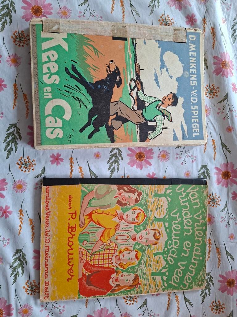 Leesboeken, Verzamelen, Ophalen of Verzenden, Gebruikt