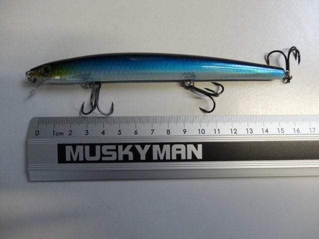 Kunstaas: Rapala MaxRap 15 pluggen, Watersport en Boten, Verzenden, Gebruikt, Overige typen