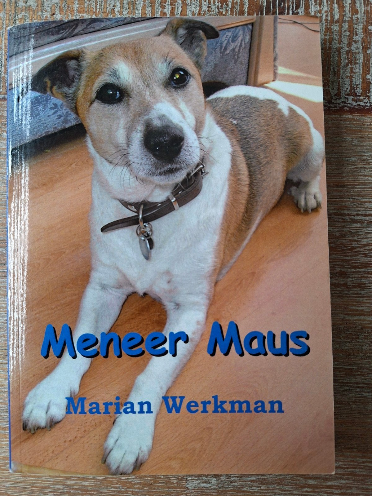 Meneer Maus Marian Werkman, Verzenden, Marian werkman, Honden, Zo goed als nieuw