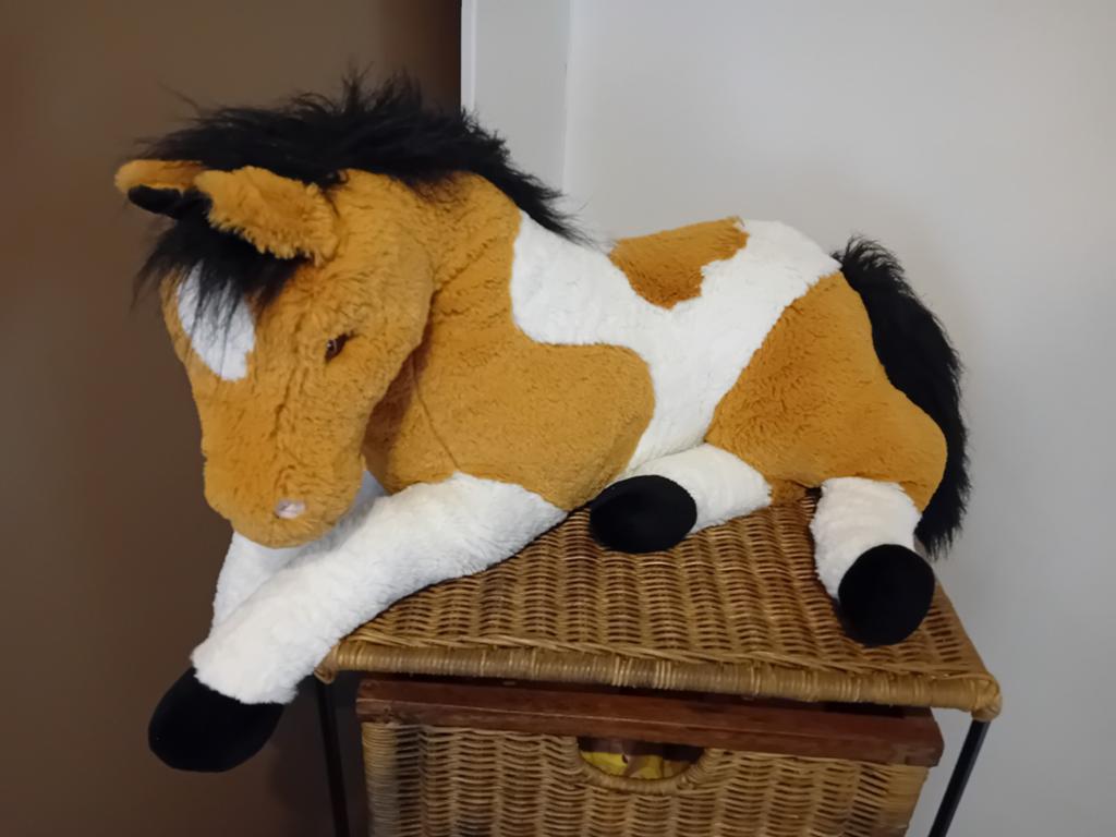 Paard, Ophalen of Verzenden
