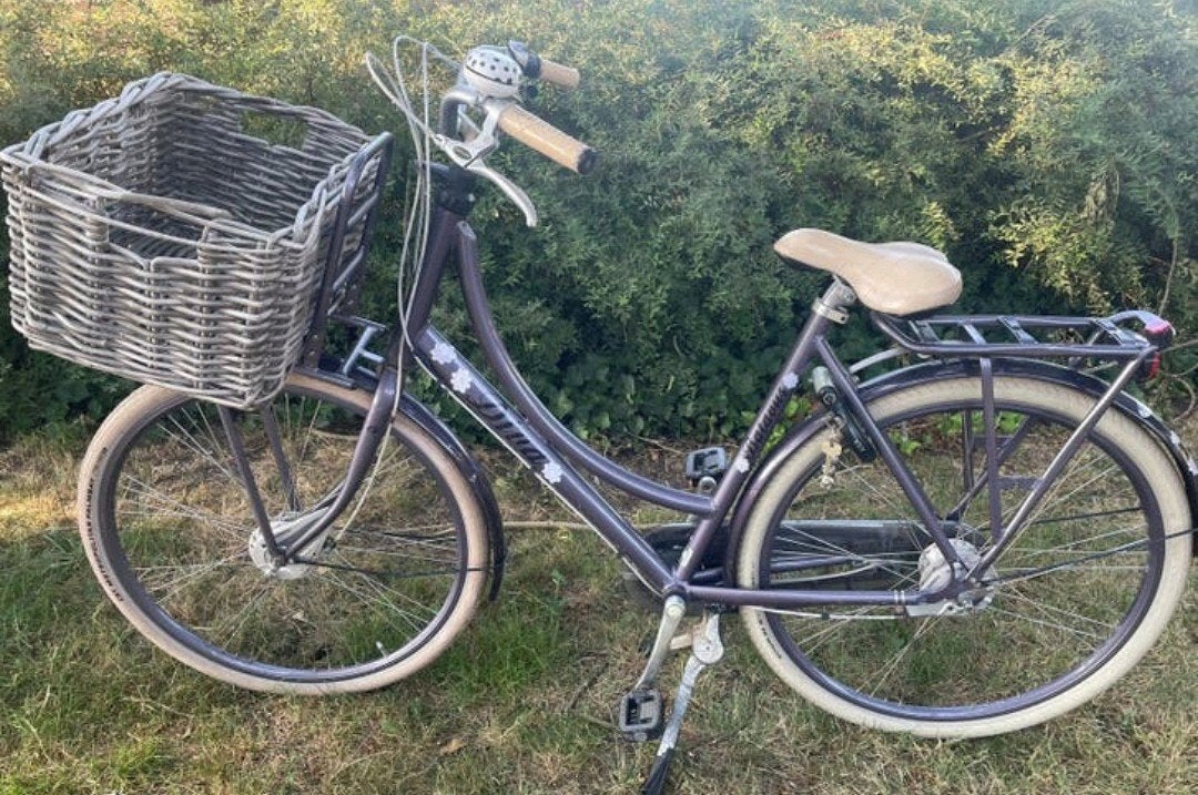 Damesfiets Batavus Diva, 56 cm of meer, Ophalen, Gebruikt, Batavus