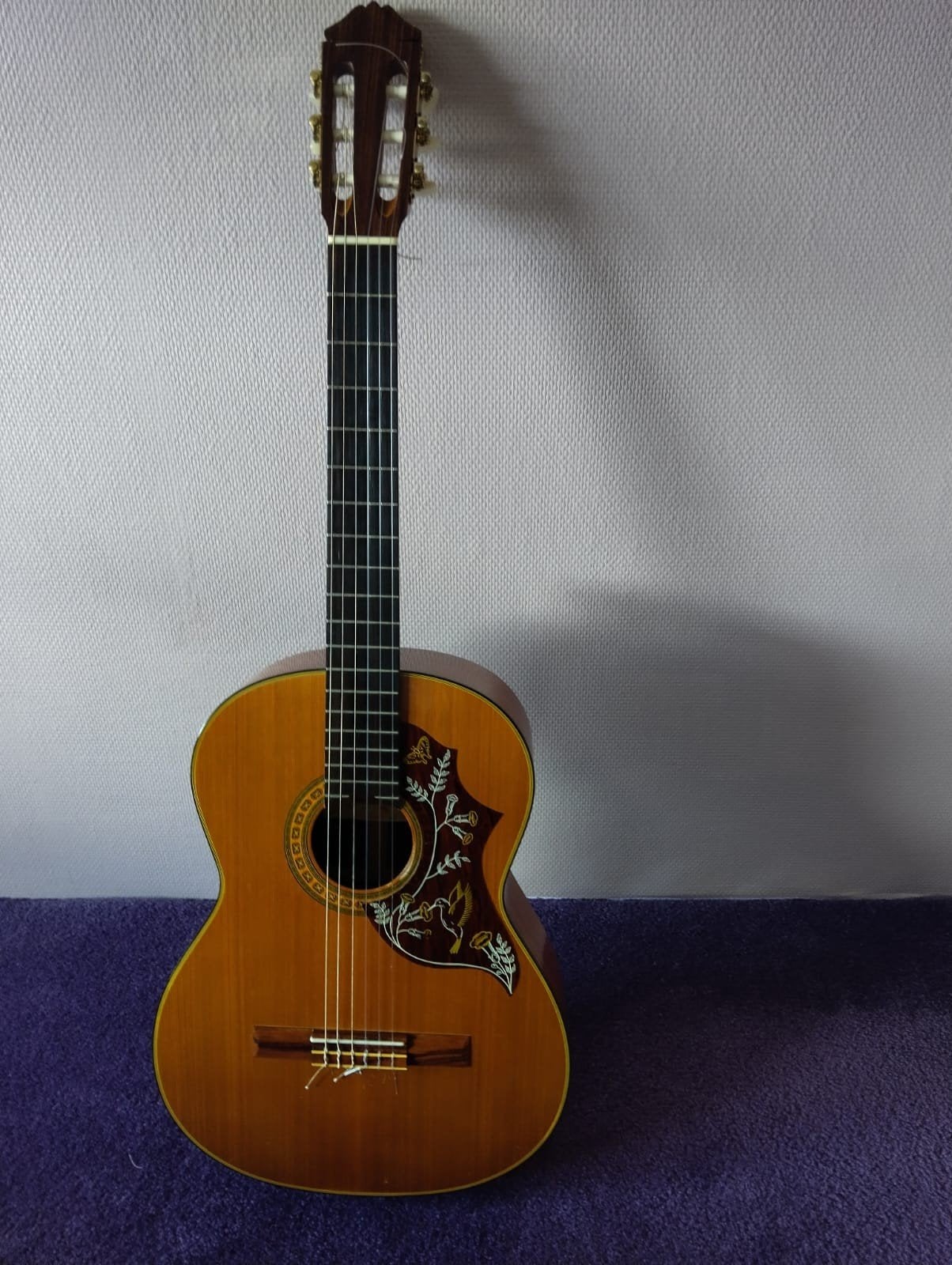 Aria akoestische gitaar, Muziek en Instrumenten, Snaarinstrumenten | Gitaren | Akoestisch, Ophalen, Gebruikt, Klassieke of Spaanse gitaar