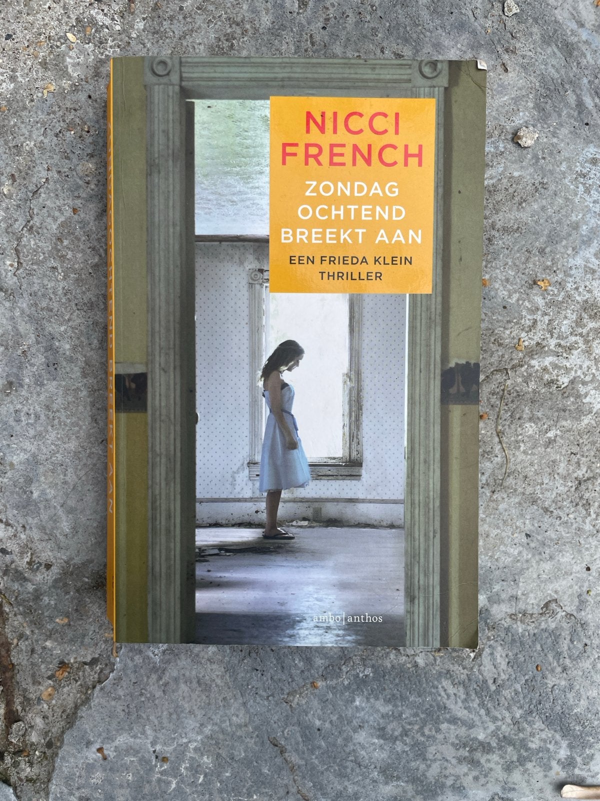 Nicci French - Zondagochtend breekt aan (Frieda Klein), Ophalen of Verzenden, Gelezen, Europa overig