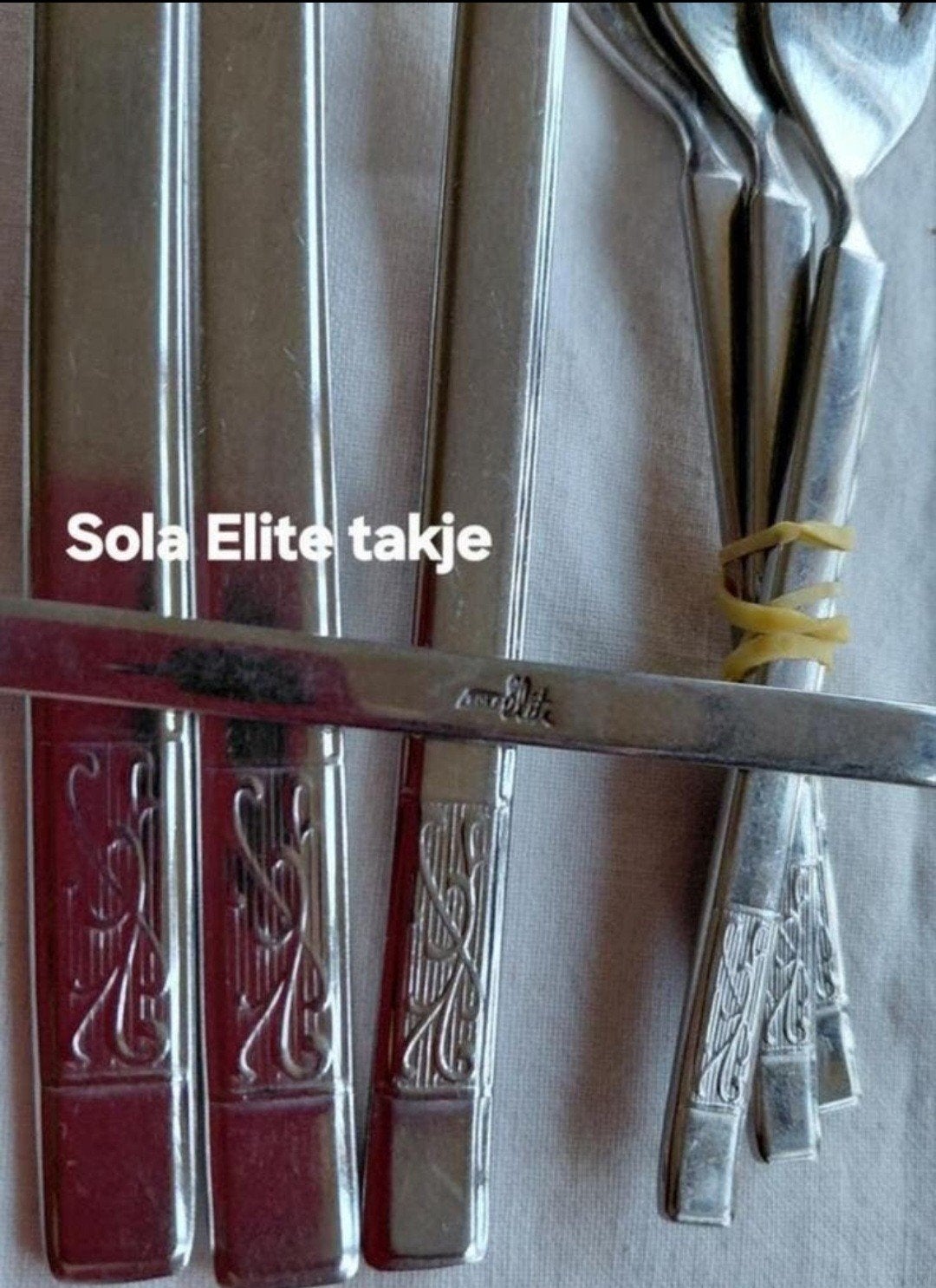 Bestek Sola Elite met reliëf takjes, Antiek en Kunst, Antiek | Bestek, Ophalen of Verzenden
