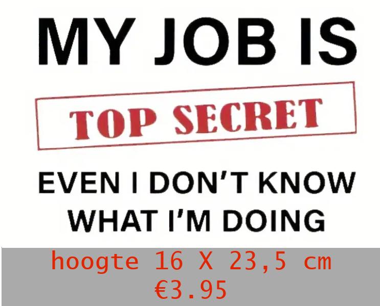 Strijk applicaties grappige tekst: "My job is top secret", Ophalen of Verzenden, Nieuw