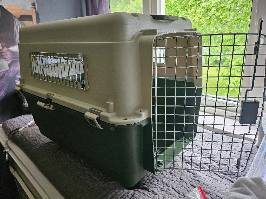 Transportbox  L 80 x 57 x65 cm hond/kat, Ophalen, Zo goed als nieuw