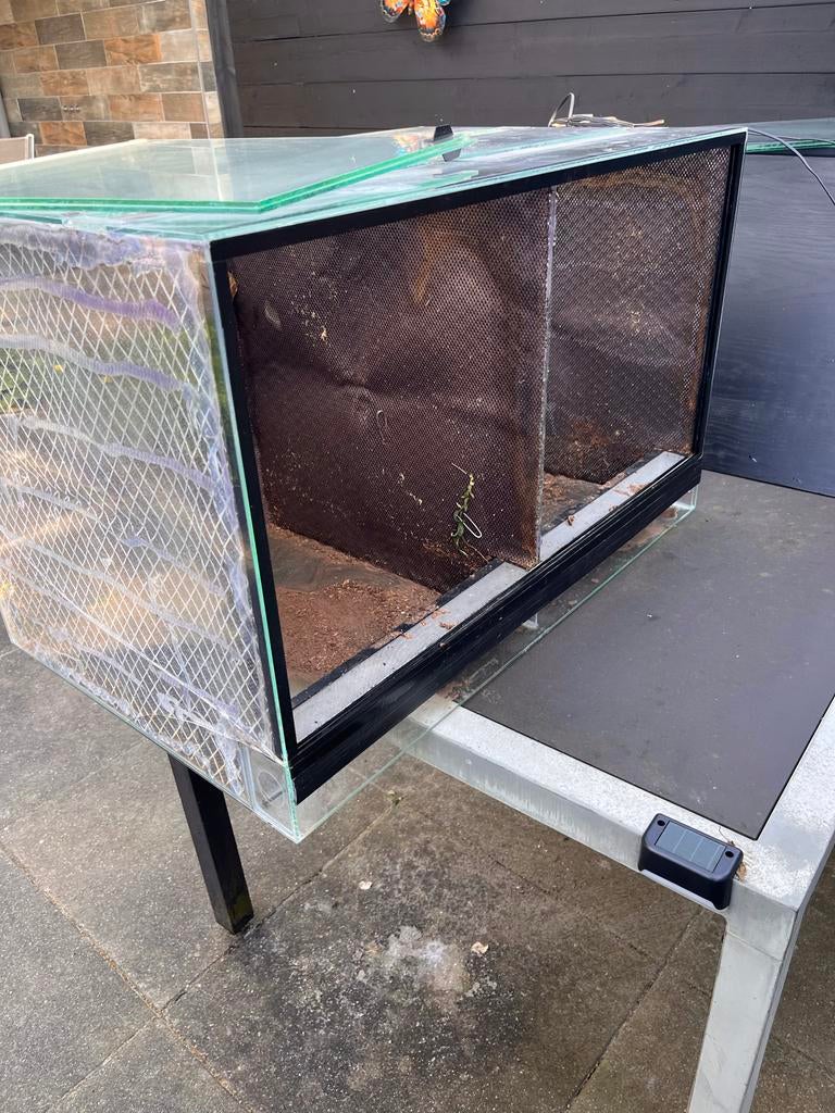 Terrarium, Dieren en Toebehoren, Reptielen en Amfibieën | Toebehoren, Ophalen of Verzenden, Gebruikt, Terrarium of Paludarium
