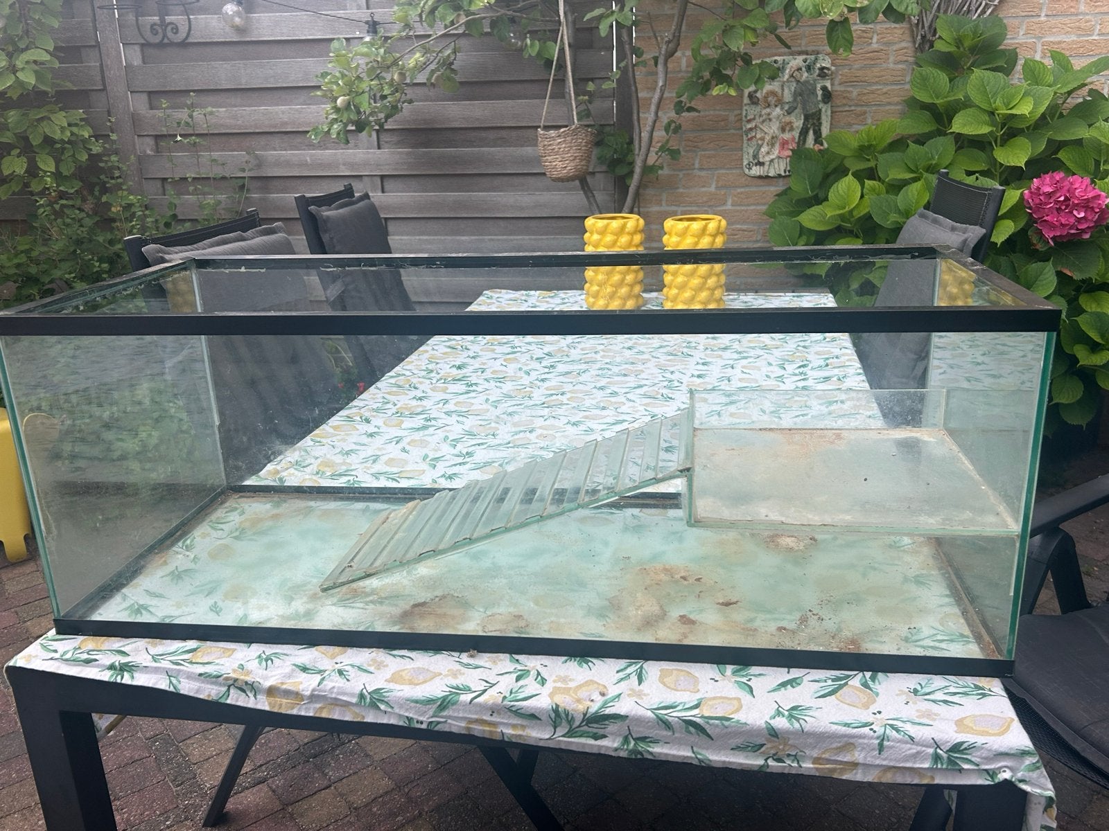 Hok knaagdier,  hamster, Dieren en Toebehoren, Ophalen, Gebruikt, Overige materialen, Overige typen