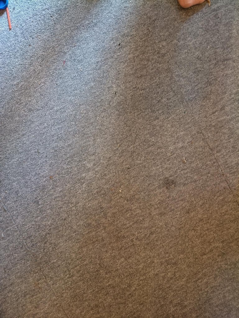 Gratis Vloer - appartement 45m2, Doe-het-zelf en Verbouw, Vloerdelen en Plavuizen, Ophalen, Gebruikt, 50 tot 150 cm, 10 m² of meer