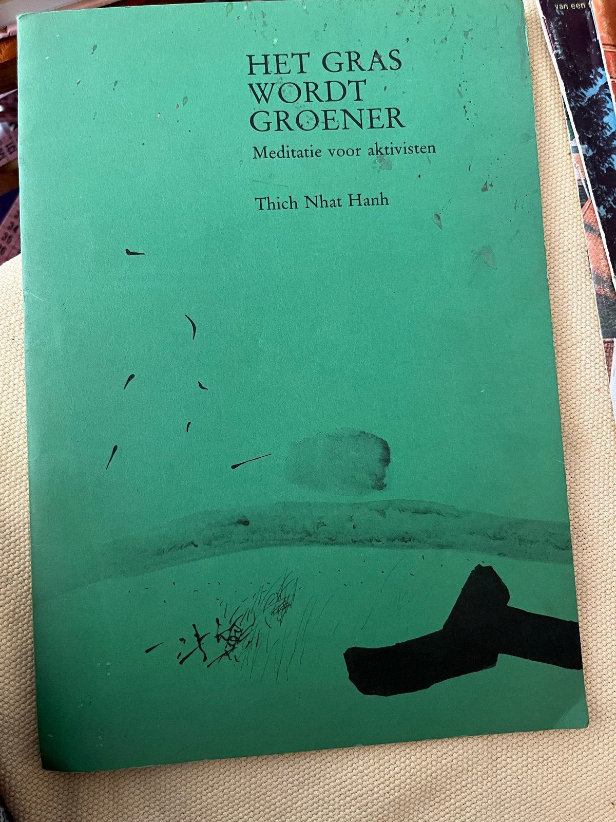 Het Gras Wordt Groener - Meditatie voor Activisten, Ophalen of Verzenden, Gelezen, Meditatie of Yoga, Instructieboek