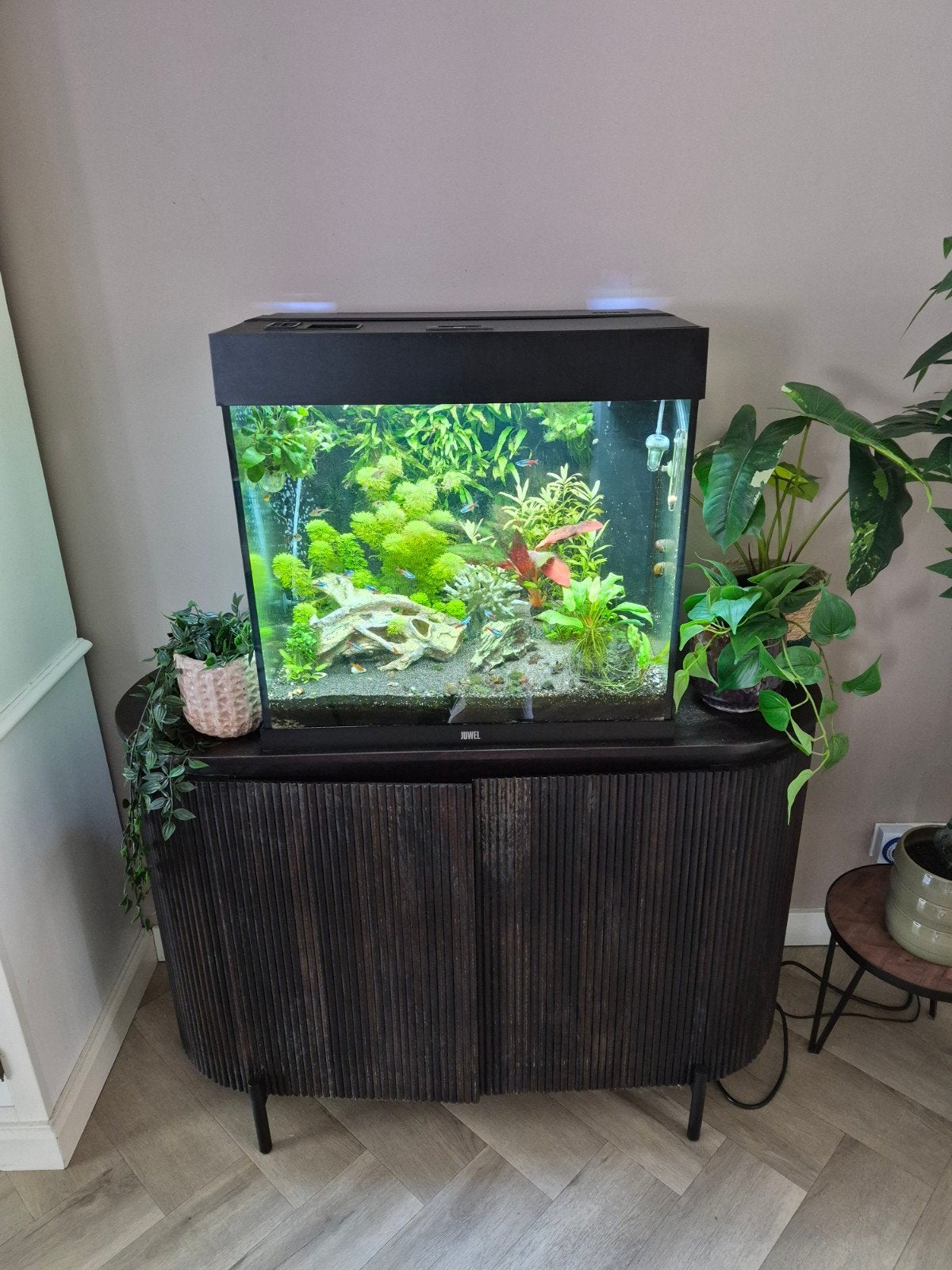 Aquarium Juwel lido 120, Ophalen, Gebruikt, Leeg aquarium
