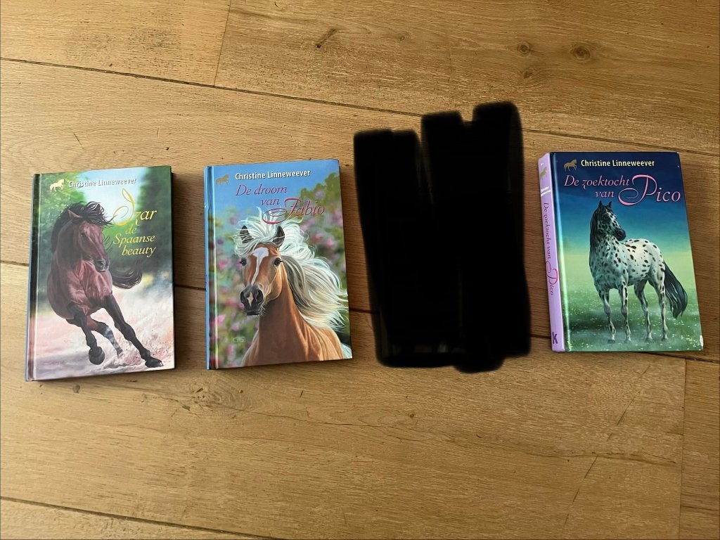 Leesboeken Christine Linneweever - 4-boeken, Ophalen of Verzenden, Zo goed als nieuw, Fictie, Christine Linneweever