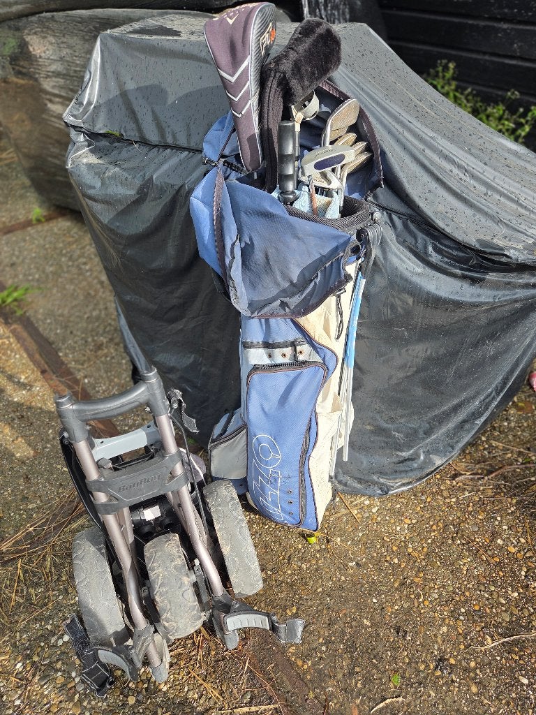 Golf tas met losse kar erbij, Sport en Fitness, Ophalen, Gebruikt, Tas, Mizuno