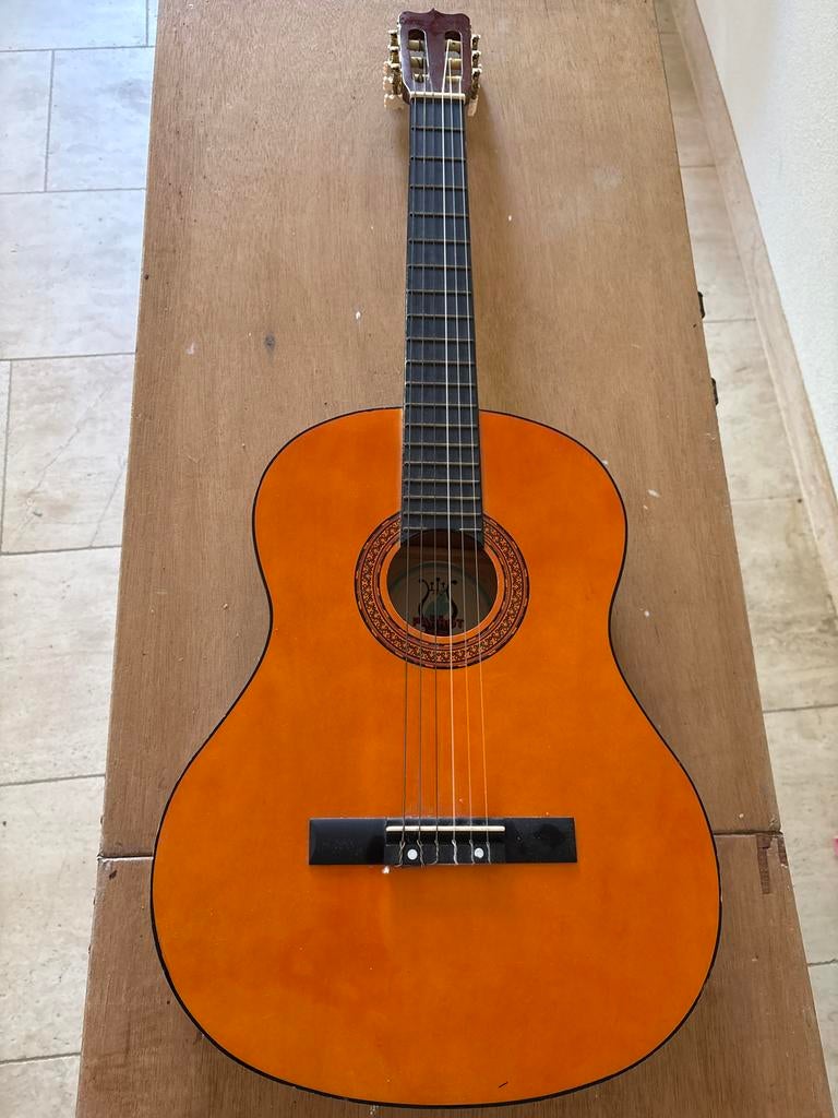 Spaanse akoestische gitaar - Parrot, Ophalen, Gebruikt, Klassieke of Spaanse gitaar