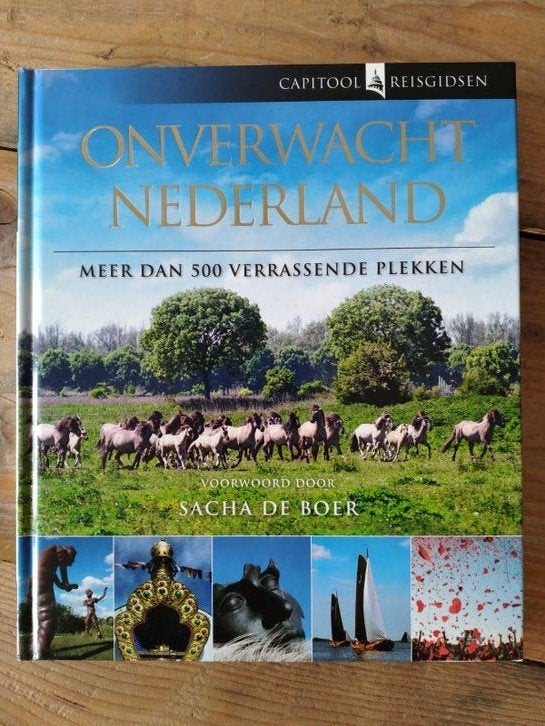 Bartho Hendriksen - Onverwacht Nederland, Boeken, Reisgidsen, Capitool, Bartho Hendriksen, Ophalen of Verzenden, Zo goed als nieuw