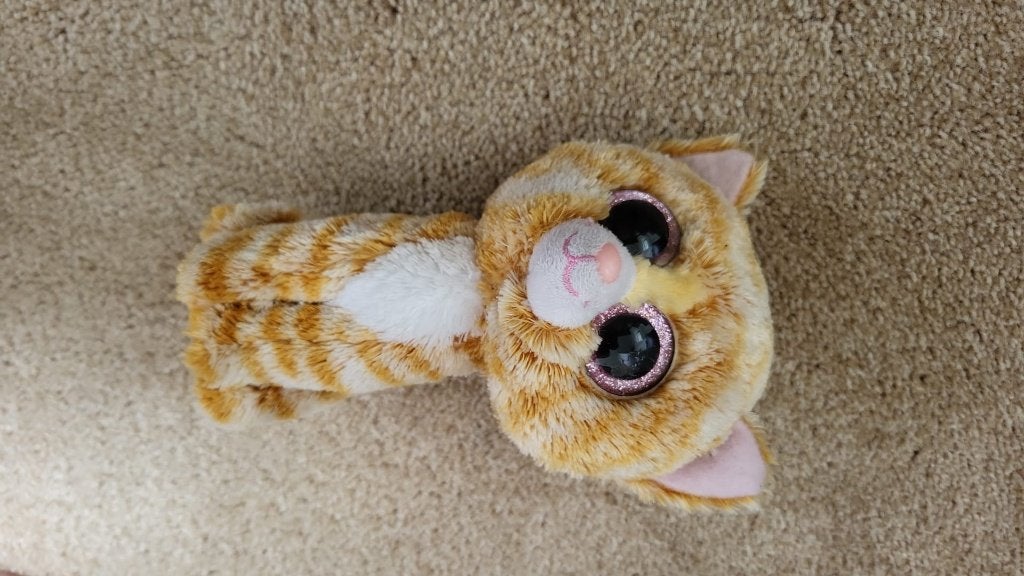 TY beanie boo knuffel kat, Oranje, Overige karakters, Ophalen of Verzenden, Zo goed als nieuw