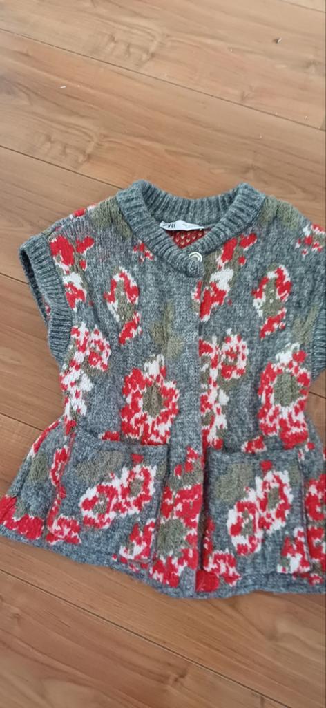Mooi kleurrijk mouwloos vest, maat S, Overige kleuren, Zara, Ophalen of Verzenden, Zo goed als nieuw