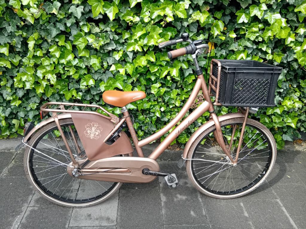 Sparta Country Tour 26 inch, Fietsen en Brommers, Fietsen | Dames | Damesfietsen, Terugtraprem, Sparta, Gebruikt, Versnellingen