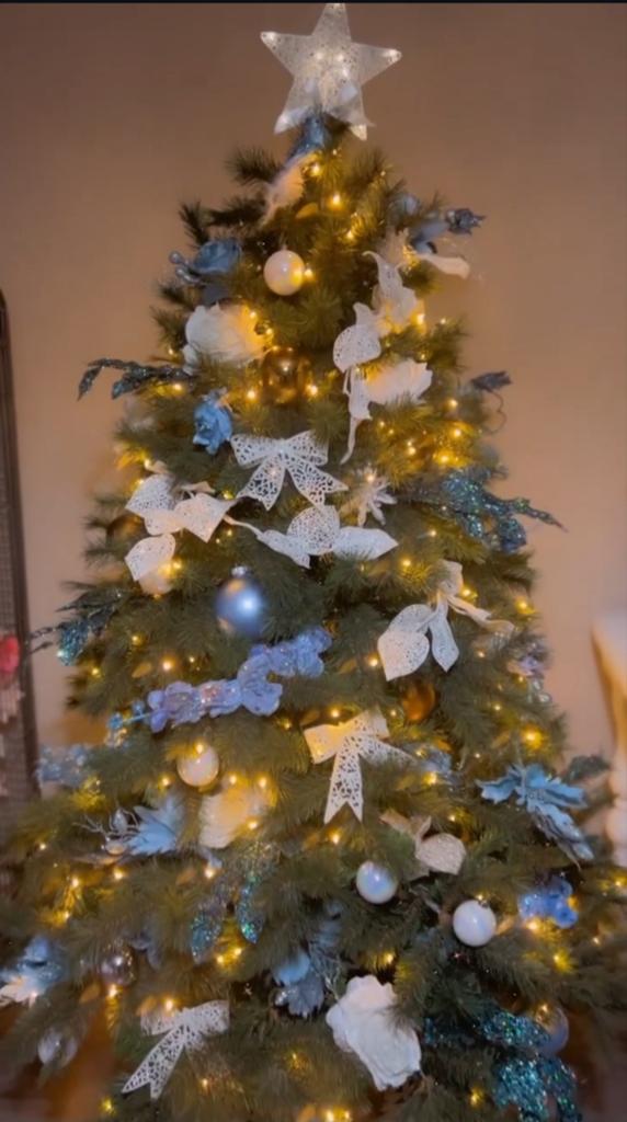 Kerstboom, Ophalen, Nieuw
