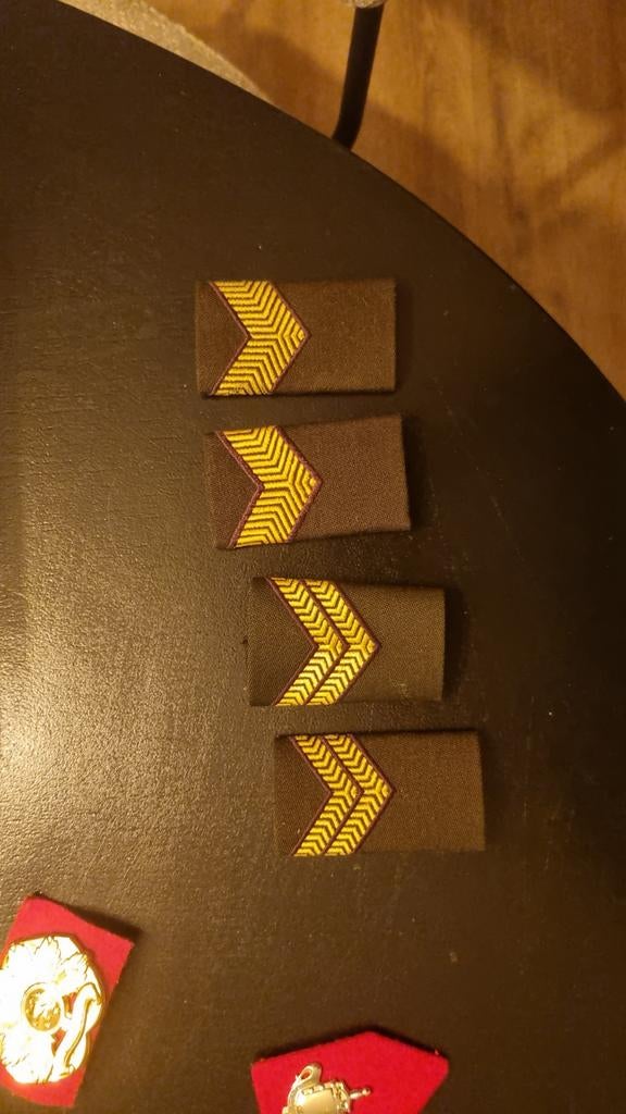 Partij Nederlandse Landmacht Rangonderscheidingen, Ophalen of Verzenden, Landmacht, Nederland, Embleem of Badge