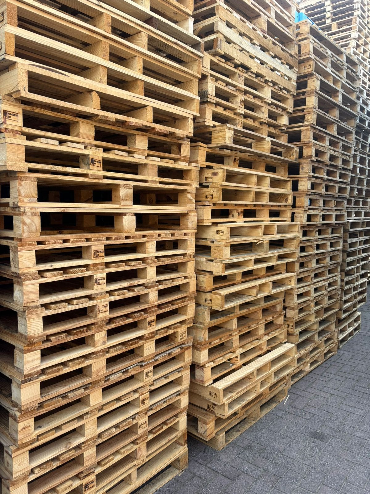 Houten pallets wegwerppallets, Ophalen, Zo goed als nieuw, 50 mm of meer, Pallet