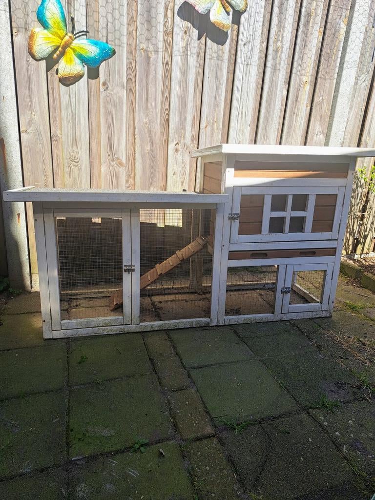 Buitenhok knaagdieren, Ophalen, 90 cm of meer, Hok, Cavia