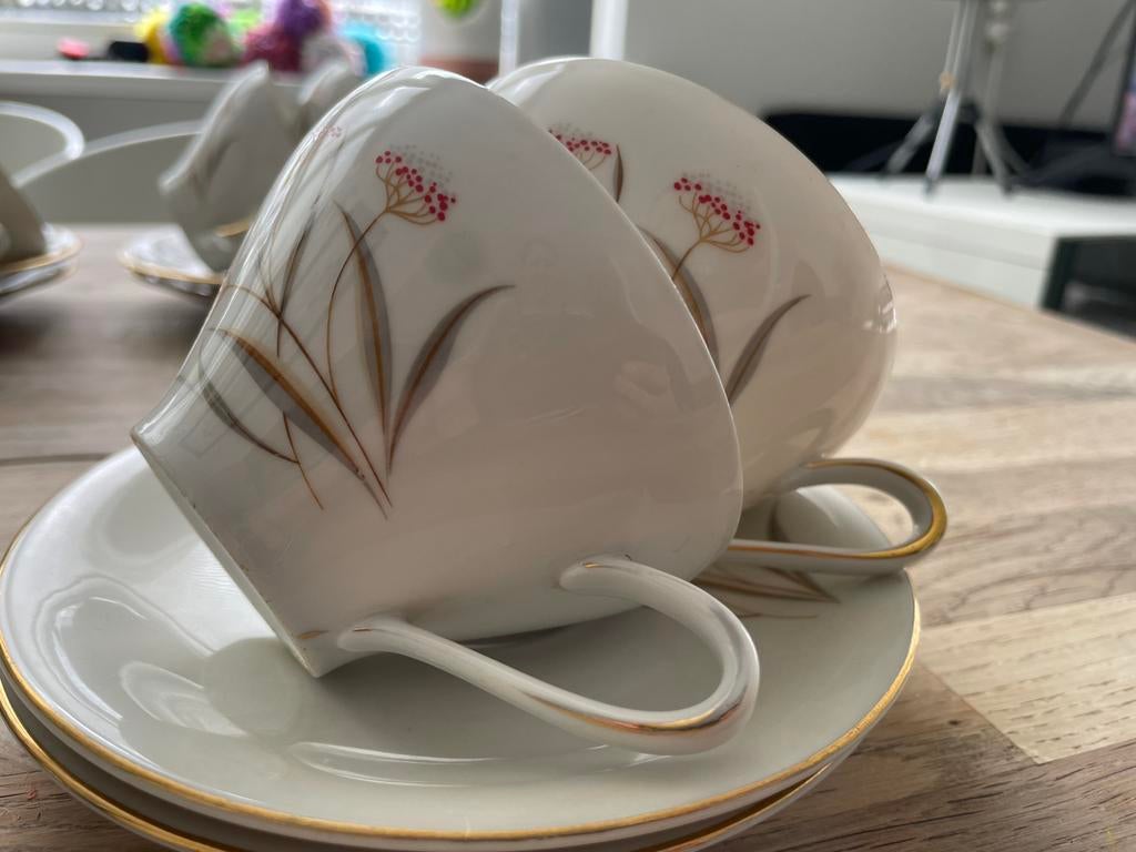 12 delig thee/ koffie servies van Winterling Bavaria Germany, Ophalen of Verzenden