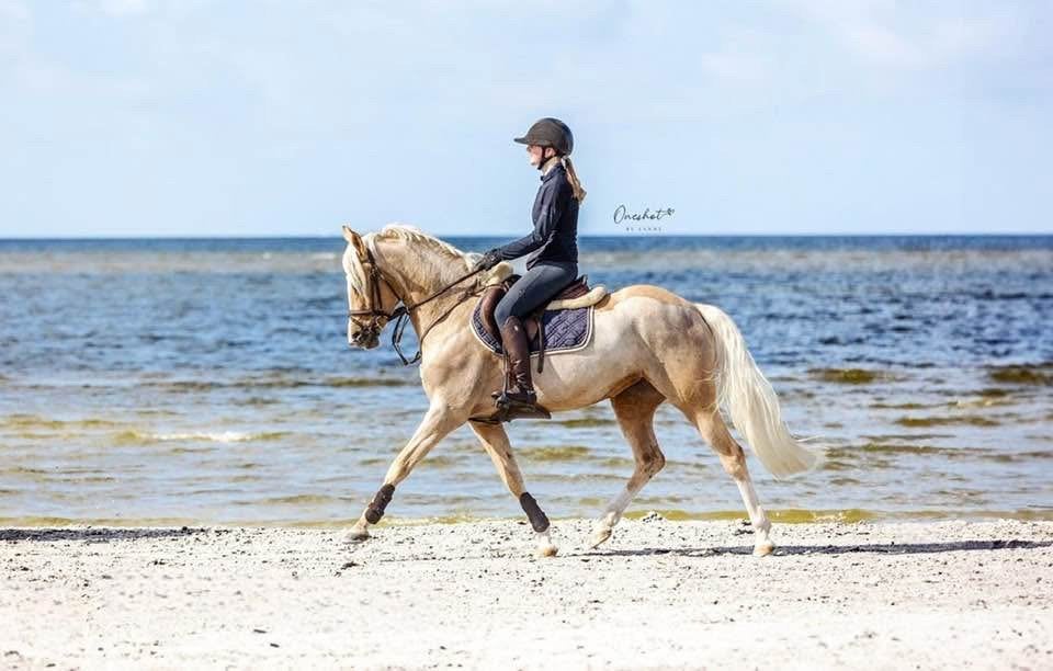 Fantastische allround D- pony, 7 jaar , merrie palomino, Merrie, M, Met stamboom, 7 tot 10 jaar