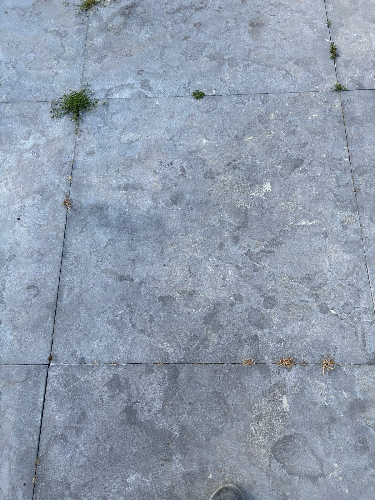 Gebruikte terrastegels bluestone 1 x 1 meter, Ophalen, Gebruikt, Terrastegels, Natuursteen
