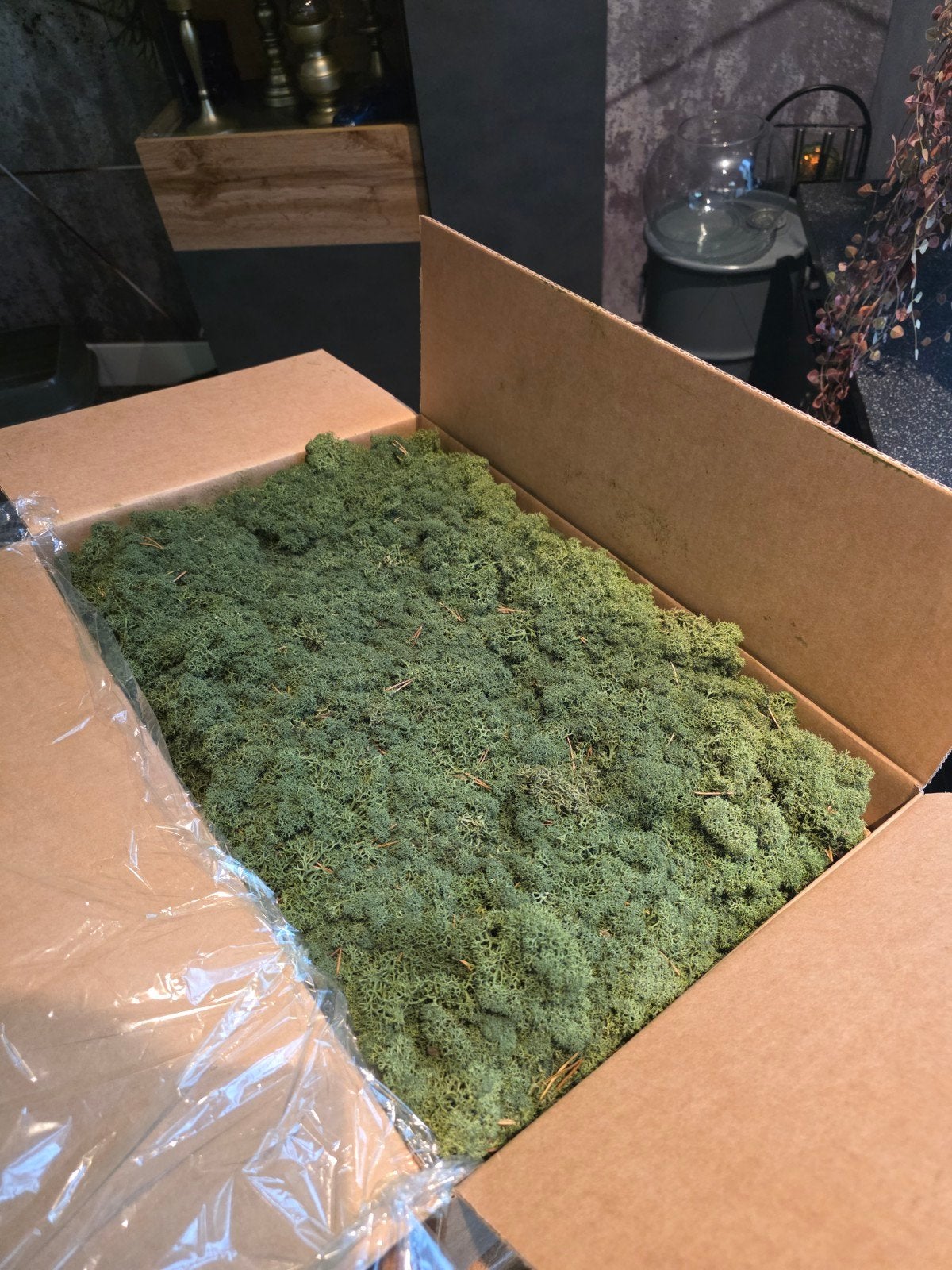 Noorse decoratie moss 5KG, Huis en Inrichting, Groen, Ophalen of Verzenden, Natuurlijk materiaal, Scandinavisch