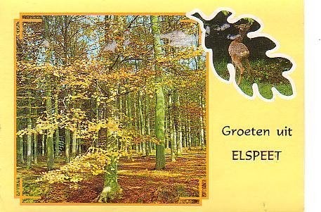 Ansichtkaart 	Elspeet	Bos, Verzenden, 1960 tot 1980, Gelopen, Gelderland