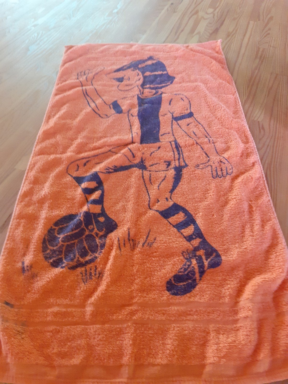 Nederlands elftal/Oranje/Voetbal, Ophalen of Verzenden, Gebruikt