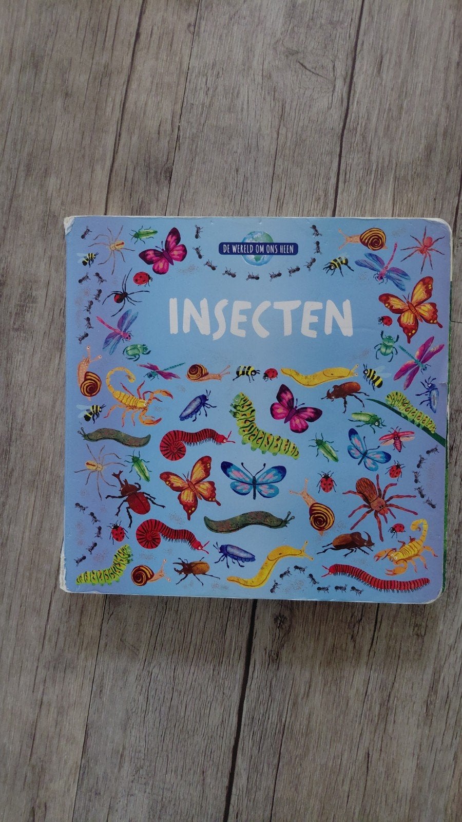 Insecten - De wereld om ons heen - Kartonboek, Boeken, Ophalen of Verzenden, 2 tot 3 jaar, Uitklap-, Voel- of Ontdekboek, Onbekend